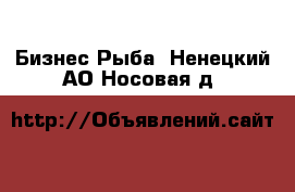 Бизнес Рыба. Ненецкий АО,Носовая д.